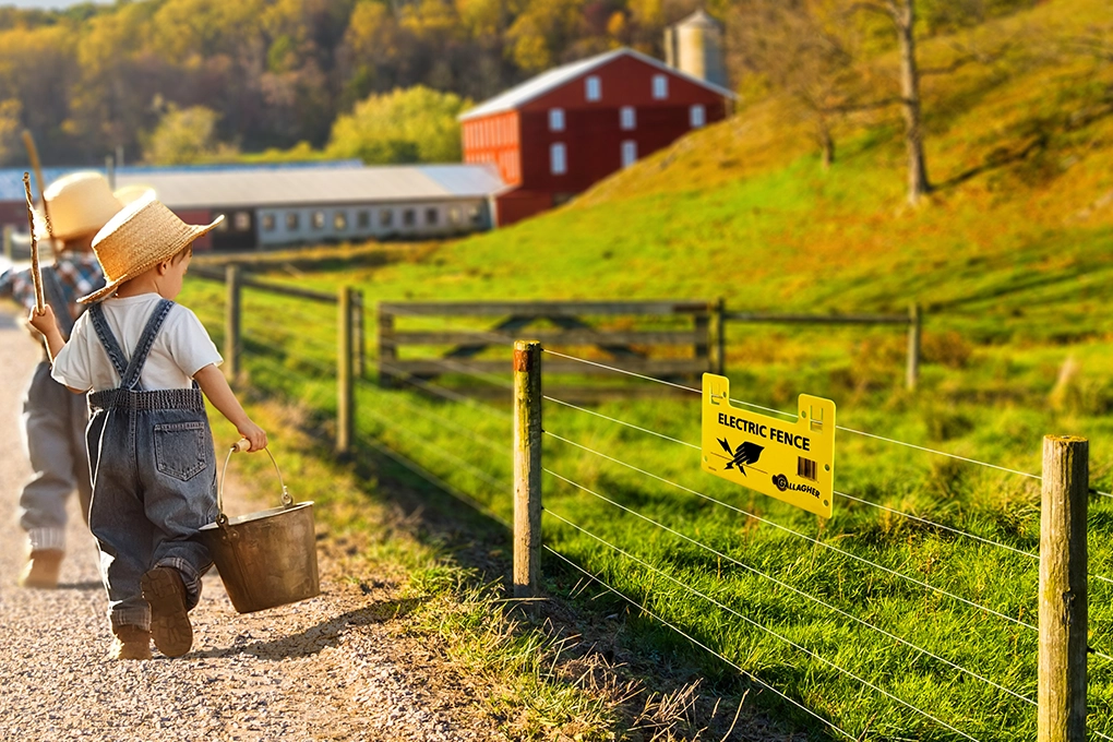 Electric fence regulations Gallagher